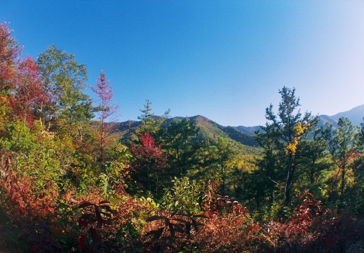 Lower Mt. Cammerer Trail